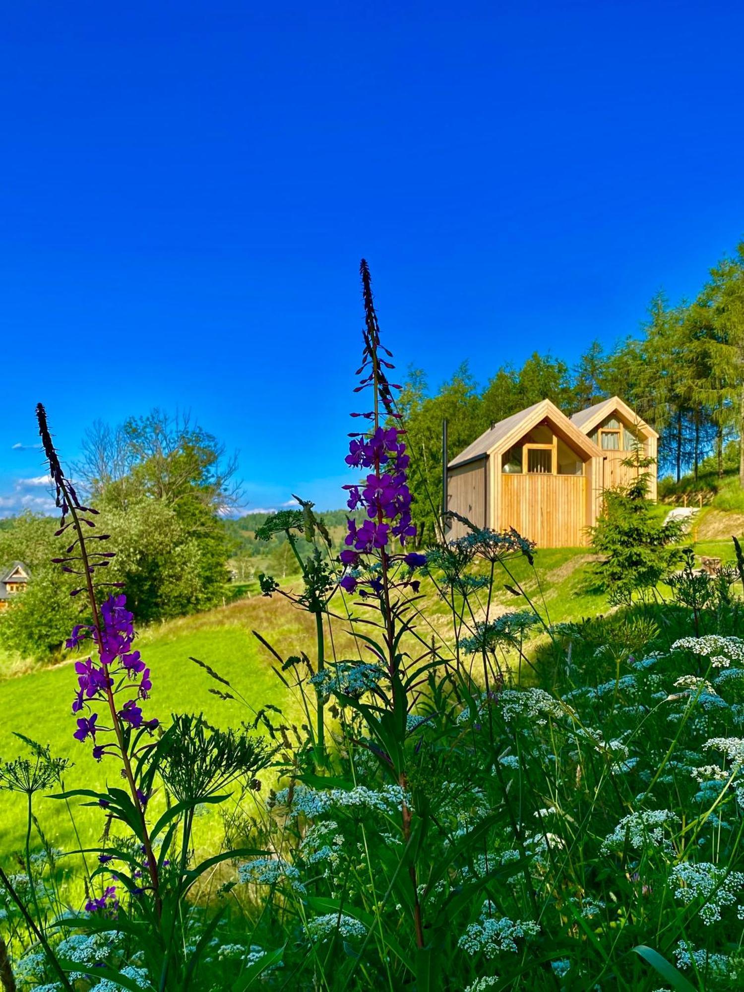 Wygorowane - Nowoczesne Stodoly Pod Tatrami Chalet Brzegi (Tatra)